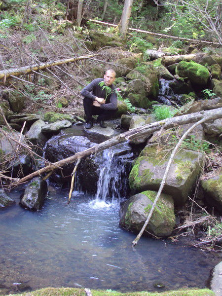 Михаил Игуменов