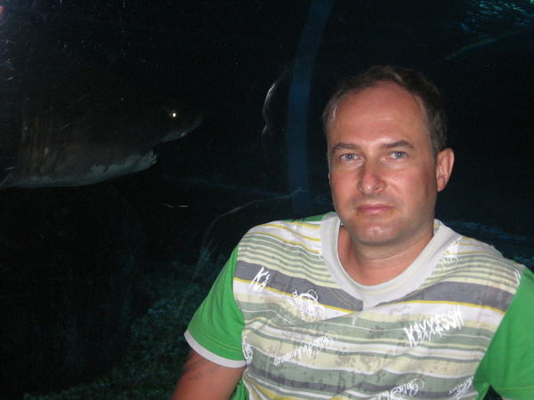 Константин Шибельбаин