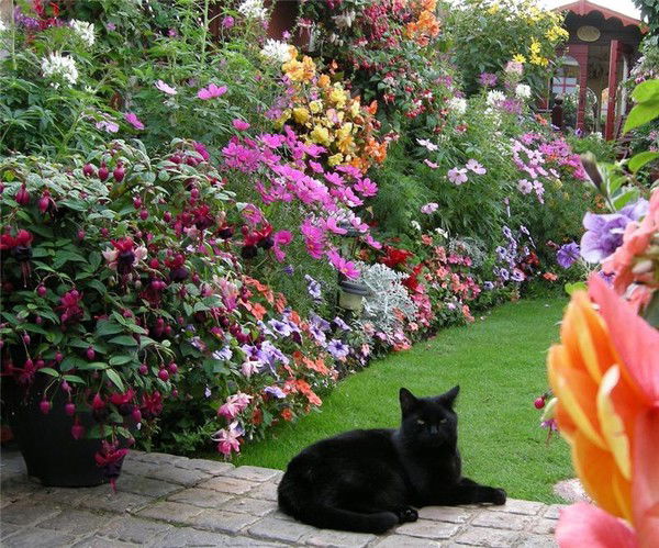 Валентина Слатвинская