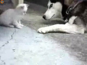 Оля Яковлева