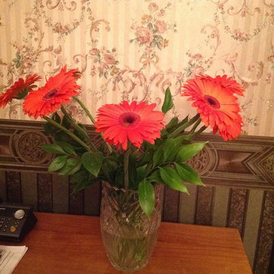 Наталья Кривенко