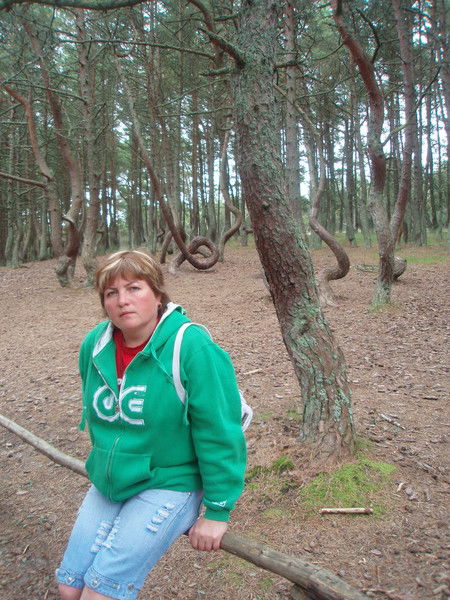 Людмила Терещенко