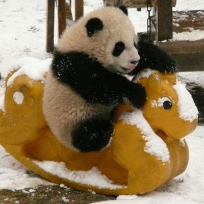 Алена Ковальчук