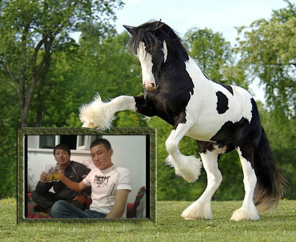 Асан Тойчубек Уулу