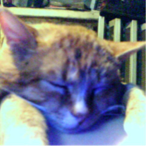 Илья Майстренко