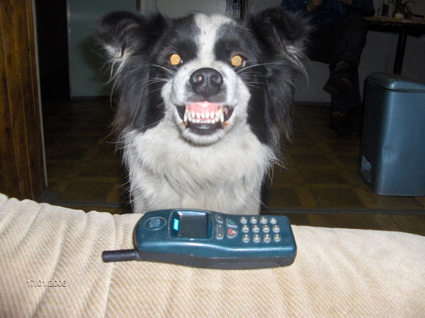 Иосиф Петровский