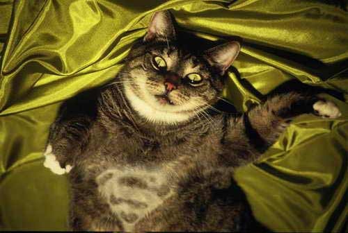 Леонид Мелкишев