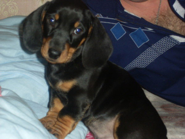 Галина Горчакова