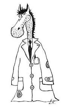 Игорь Конюхов