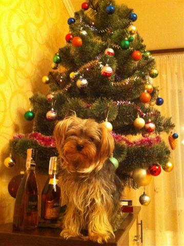 Генадій Білогуров