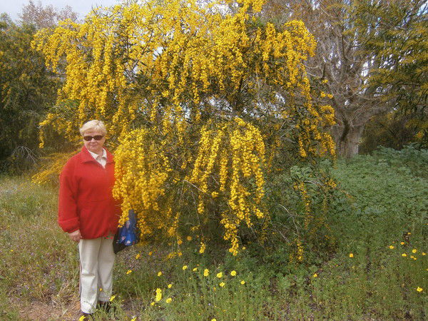 Марья Шаргородская