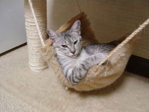 Вадим Кислушкин