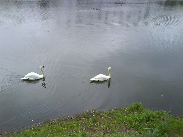 Татьяна ^ _ ^