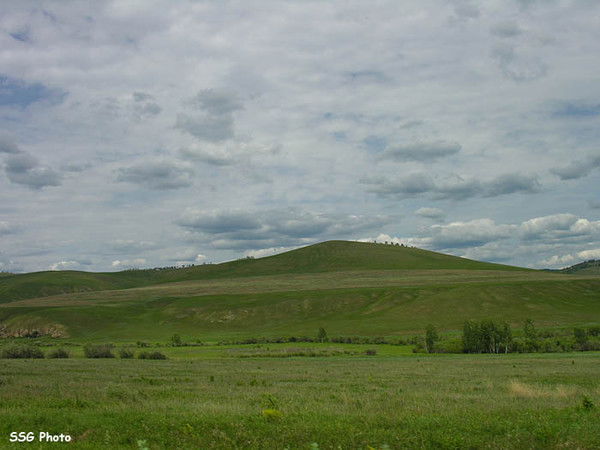 Дмитрий Нагнибедюк