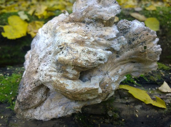 Алексей Троя