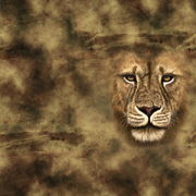 Вугар Гусейнов