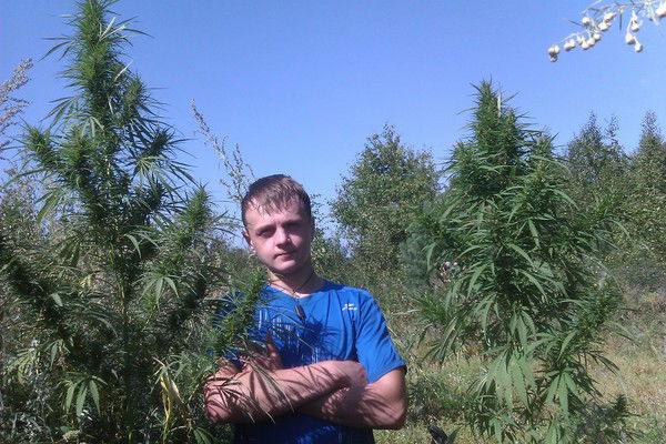 Сергей Курс