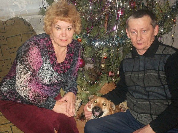 Александр Шеломенцев