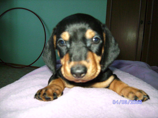 Марина Балакирева