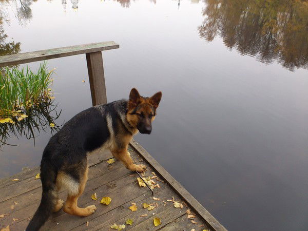 Ольга Нагорная