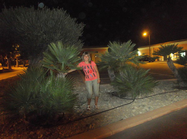 Елена Щербакова