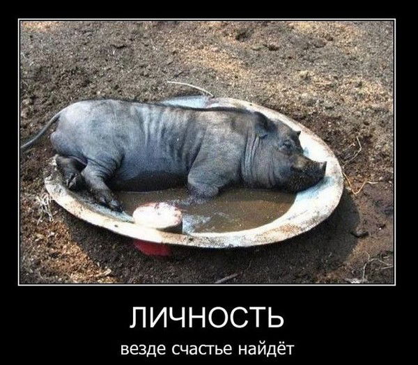 Александр Бузов