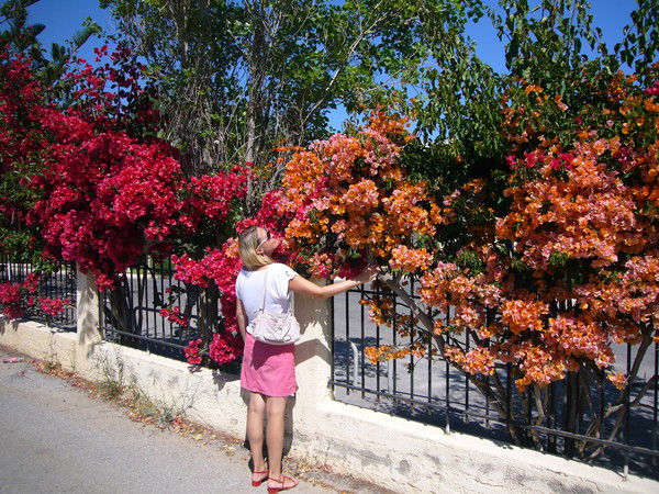 Алла Столярова