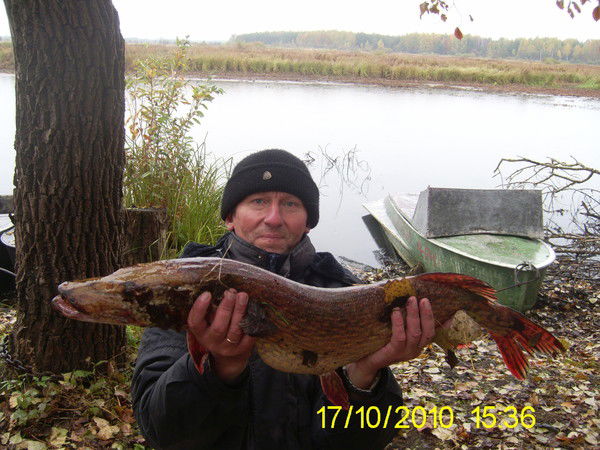 Михаил Охрименко