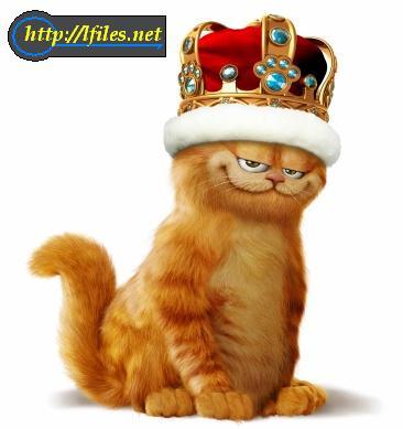 Garfield :d Garfield :d