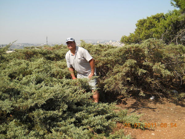 Валерий Мищенко