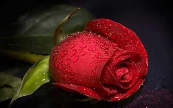 Бану Мамбеталиева