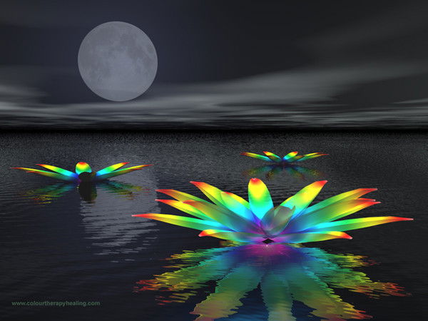 Екатерина Сапожникова