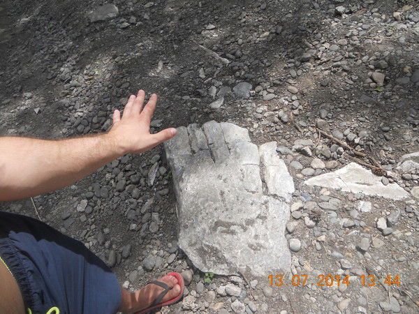 Екатерина Коваленко