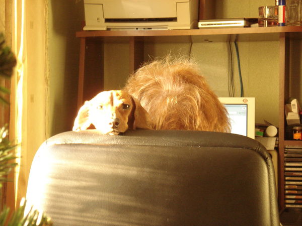 Гелена Михайлова