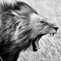 Евгений Таужнянский