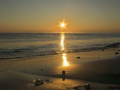 Гульнора Мирзоева