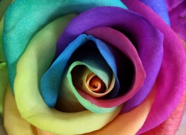 Людмила Сувак