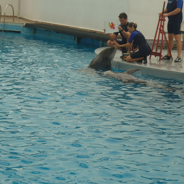 Руслан Адилов