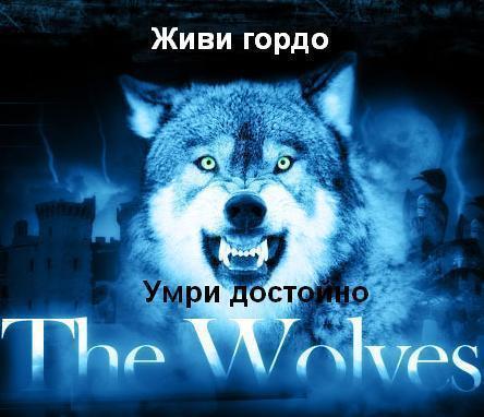 Игорь Тарасов