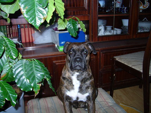 Артем Заболотский