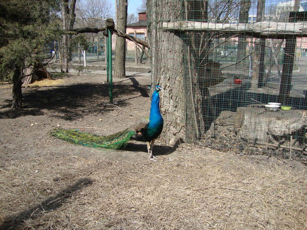 Настя Новоселова