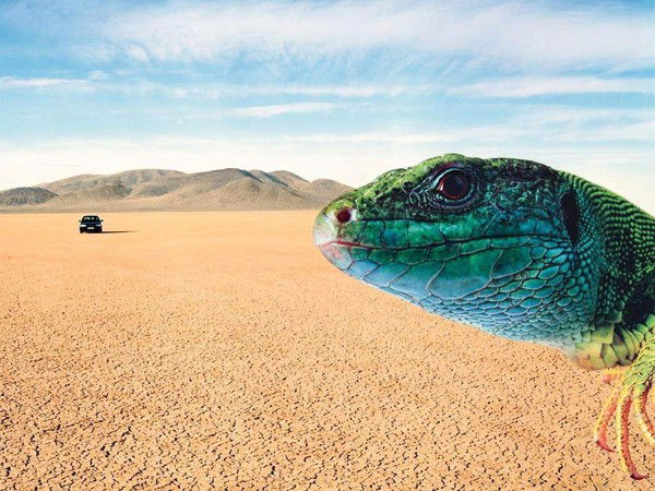 Алексей Тимохин