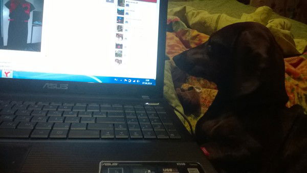 Анастасия Габова