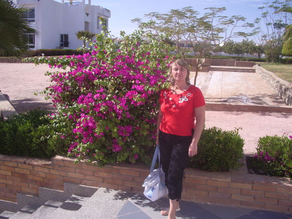 Лена Черенова