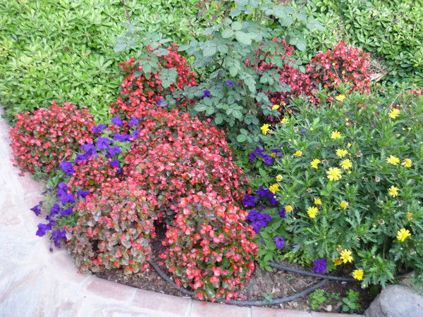 Жуковская Лена