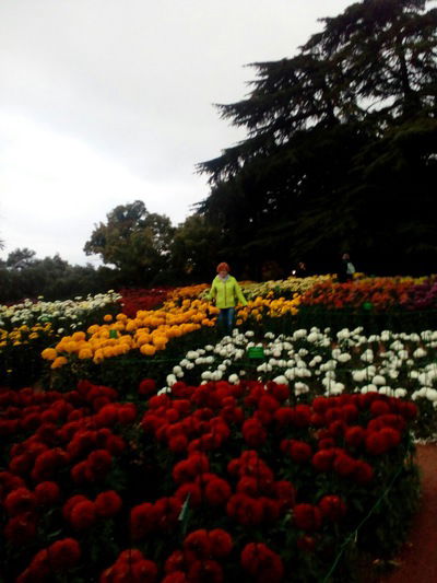 Ирина Бегайкина