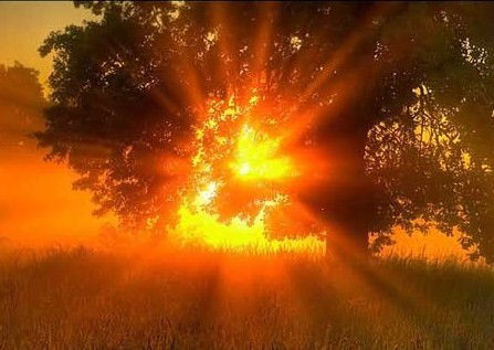 Наталья Deiwald