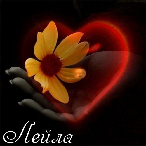 Турфирма "лейла"