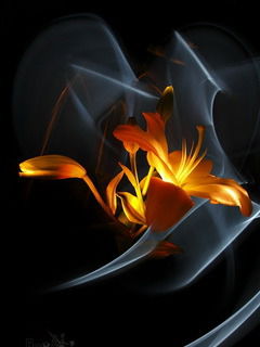 Галина Романова