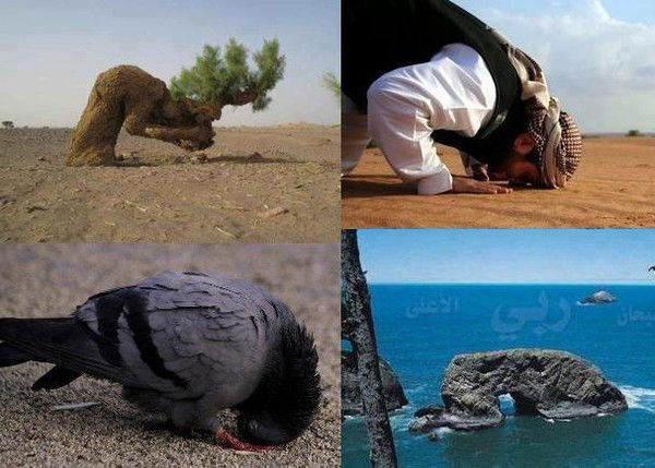 Бисембаева Бейбиткуль